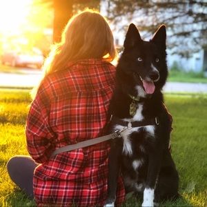 Meet your Posher, Molly